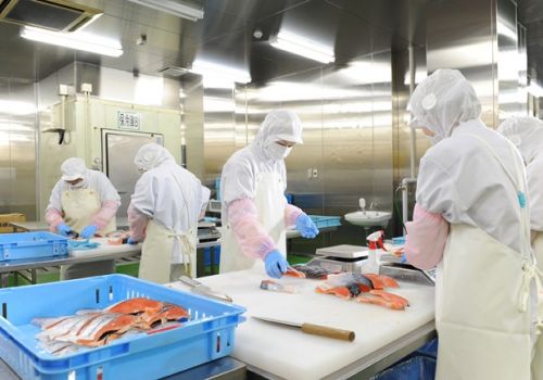 Bạn đã biết chưa: Nhật Bản sẽ mở rộng chế độ Tokutei gino – kỹ năng đặc định