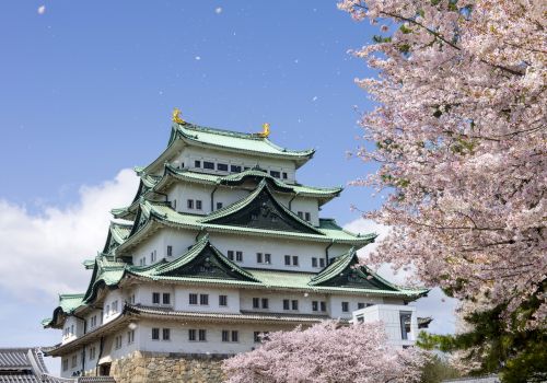 Tại sao tỉnh Aichi lại được nhiều thực tập sinh Việt lựa chọn?