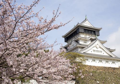 Nếu đã sang Nhật Bản làm việc, TTS đừng bỏ lỡ cơ hội đặt chân đến những địa điểm này nhé!