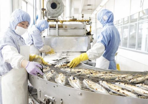 Top những đơn hàng xuất khẩu Nhật Bản luôn được 