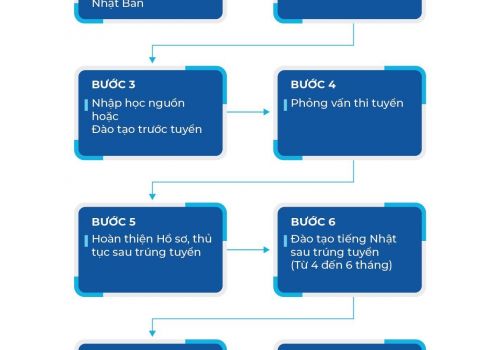 QUY TRÌNH THỰC TẬP SINH NHẬT BẢN