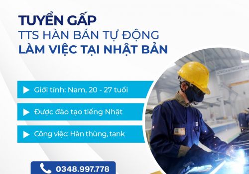 ĐƠN HÀNG HÀN BÁN TỰ ĐỘNG