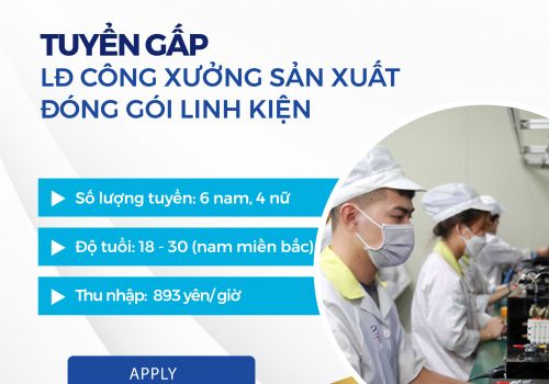 ĐƠN HÀNG SẢN XUẤT, ĐÓNG GÓI LINH KIỆN 