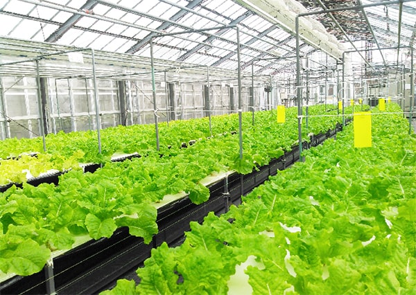 agri_cultivation_A-min